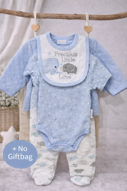 Baby clothing set with onesie, bib, and pants hanging on a branch against a white background.